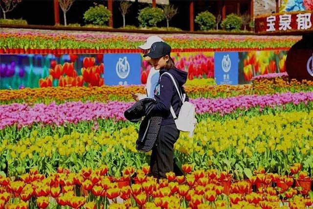 意大利贵宾铝业铝板厂家组织员工宝泉游玩